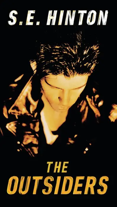 Cover of The Outsiders by S. E. Hinton
