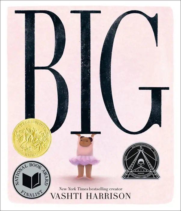 Cover of Big by Vashti Harrison