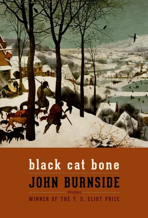 Cover of Black Cat Bone by John Burnside