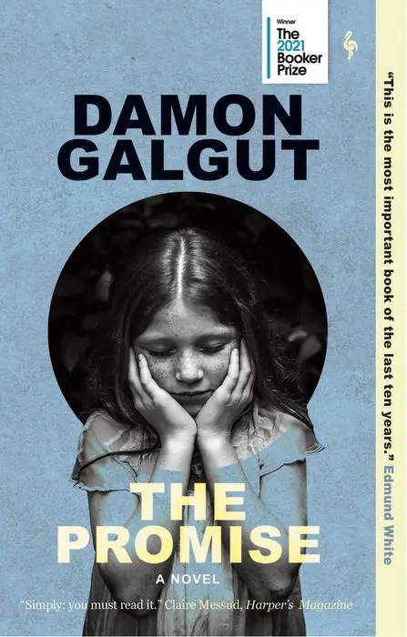 Cover of The Promise by Damon Galgut