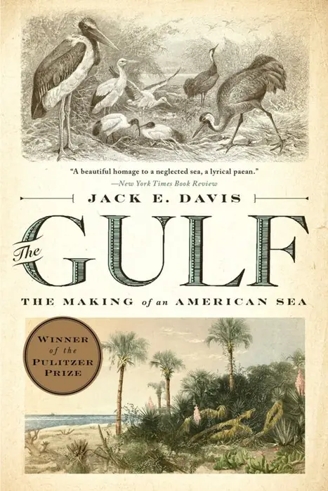 Cover of The Gulf: The Making of an American Sea by Jack E. Davis